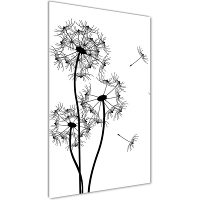 Vertikálny foto obraz sklo tvrdené Púpavy 50x100 cm