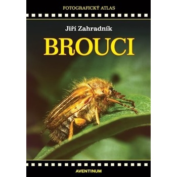 Brouci
