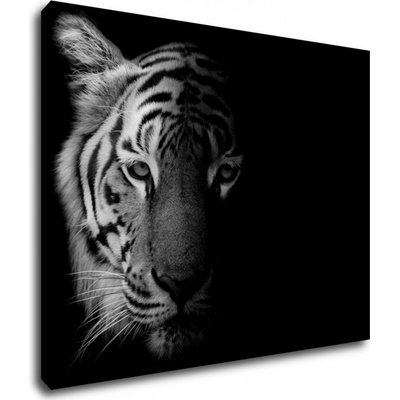 Impresi Obraz Tiger čiernobiely - 90 x 70 cm
