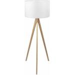 TK Lighting Treviso 5038