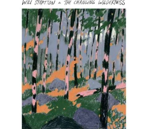 The Changing Wilderness - Will Stratton CD
