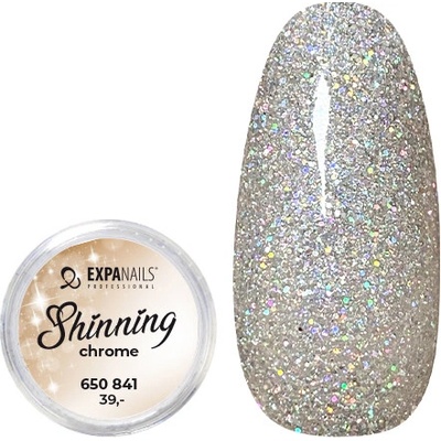 Expa nails třpytky na zdobení nehtů shining chrome glitter 1 2 g