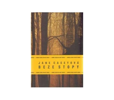 Beze stopy - Jane Caseyová