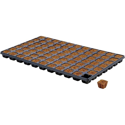 HGA Eazy Plug HGA Garden CT77 Tray + Eazy Plug