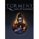 Torment: Tides of Numenera (D1 Edition)