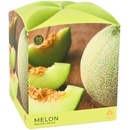 Arôme Melon 90 g