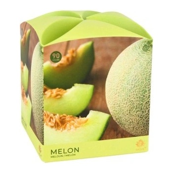 Arôme Melon 90 g