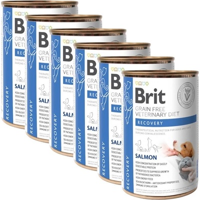 Brit Veterinary Diets GF cat & dog Recovery salmon 6 x 400 g