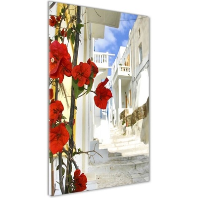 Vertikálny foto obraz fotografie na skle Mykonos Řecko 50x100 cm
