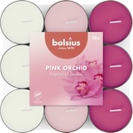 Bolsius Bolsius Polska Sprzedaż sp. z o. o. Чай Bolsius Розова орхидея базов, в трицветен микс, ароматни свещи 18 бр