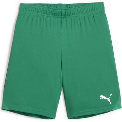 Puma teamGOAL Shorts Jr zelená