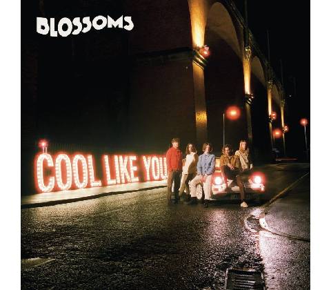 BLOSSOMS - COOL LIKE YOU CD