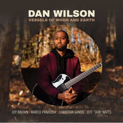 DAN WILSON - Vessels Of Wood And Earth CD