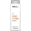 Framesi Morphosis New Purifying Shampoo 250 ml