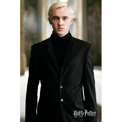 Plakát, Obraz - Harry Potter - Draco Malfoy, 26.7 × 40 cm – Zbozi.Blesk.cz