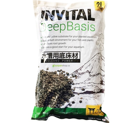 Invital DeepBasis 2 l
