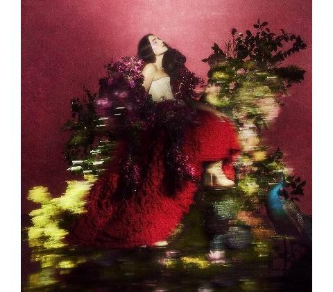 Ware Jessie - Superbloom CD