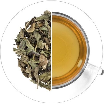 Dr.Popov ANTIGRIP TEA 50 g
