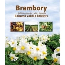 Brambory