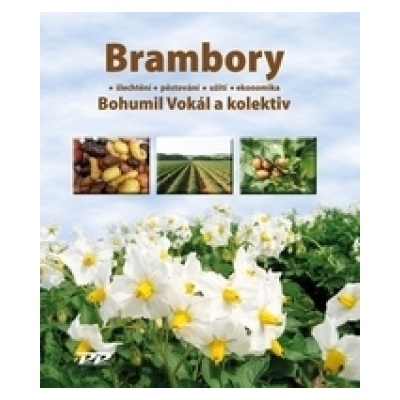 Brambory