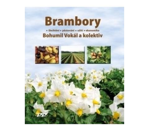 Brambory