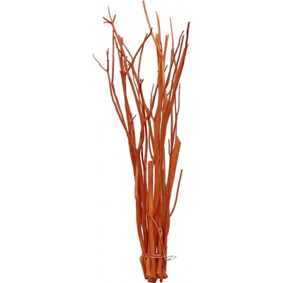 Misumata 45-60cm oranžová
