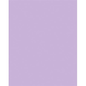 FOLIA Декоративен картон, двустранен, 50x70cm, 220 g, 10 листа, FOLIA, люляк 61221031 (6122/10 31)