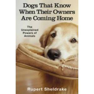Dogs That Know When Their Owners Are Coming Home | Rupert Sheldrake (2000)