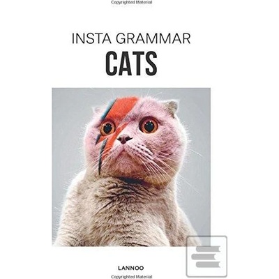 Insta Grammar: Cats