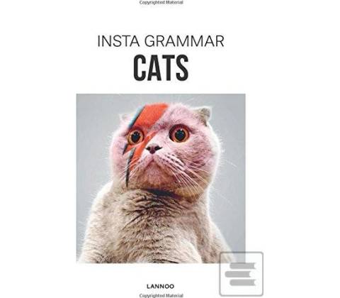 Insta Grammar: Cats