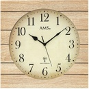 AMS 5551