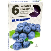Admit Tea Lights Blueberry 6 ks