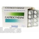 Volně prodejné léky GASTROCYNÉSINE ORM SLG TBL NOB 60