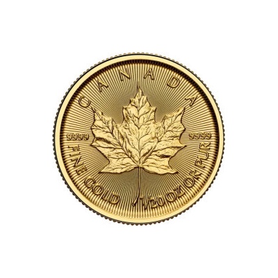 Royal Canadian Mint zlatá minca Maple Leaf 2025 1/20 oz