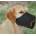 TRIXIE найлонова намордник за кучета l