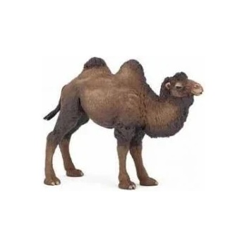 Image 1 of Papo - Фигурка за колекциониране и игра - Двугърба камила (50129)