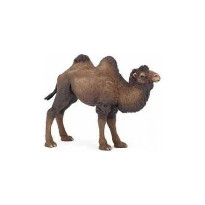 Papo - Фигурка за колекциониране и игра - Двугърба камила (50129)