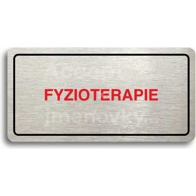 ACCEPT Piktogram FYZIOTERAPIE - stříbrná tabulka - barevný tisk