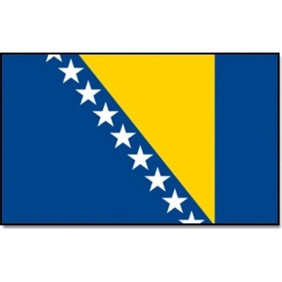 Vlajka Bosna a Hercegovina 30 x 45 cm na tyčce