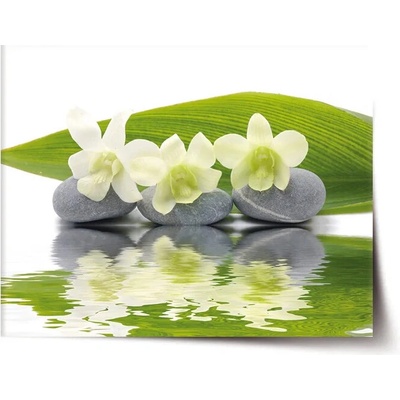 Sablio Plagát Biela orchidea - 60x40 cm