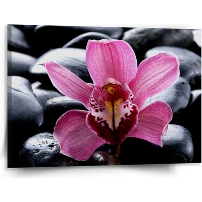 Sablio Obraz Růžová orchidea - 150x110 cm