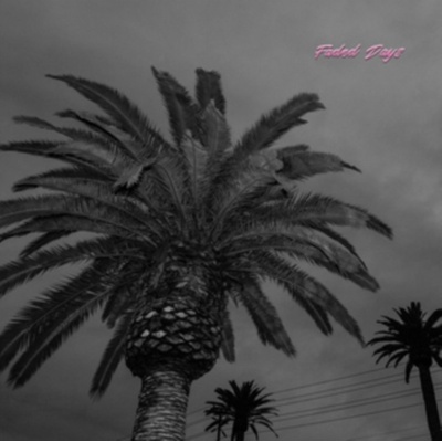 Actual Wolf - Faded Days LP