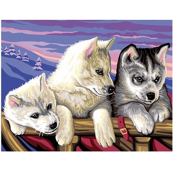 Image 1 of KSG Crafts - Рисуване по номера - голям размер "Хъски