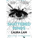 Shattered Minds