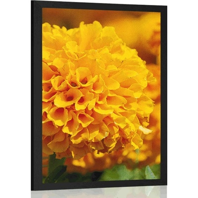 Plakát aztécký měsíček - 20x30 black