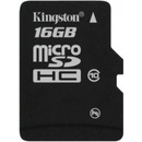 Paměťové karty PATRIOT microSDHC Class10 16 GB SF16GMDC10