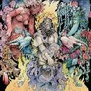 STONE - Baroness CD