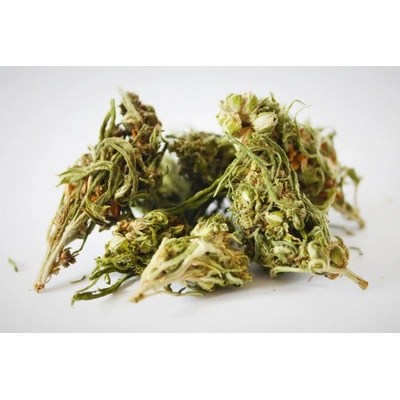 CBG konopný čaj 1 8% 30 g