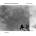 DANISH STRING QUARTET - LAST LEAF LP