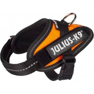 Julius-K9 JULIUS-K9® IDC Powerharness 2XS/Baby2 Нагръдник за кучета 2-5 кг, с обиколка на гърдите 33-45 см - цвят оранжев, Унгария - 16IDC-FOR-B2